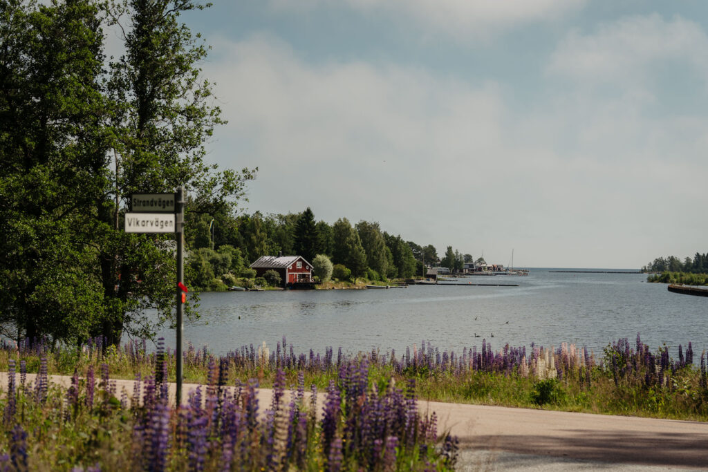 WWM_2025_07_05_fot.K.Placzki_A9K09714